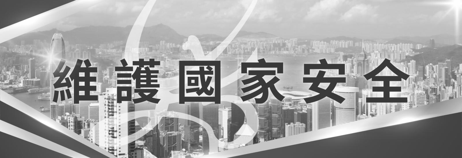 維護國家安全 (7)