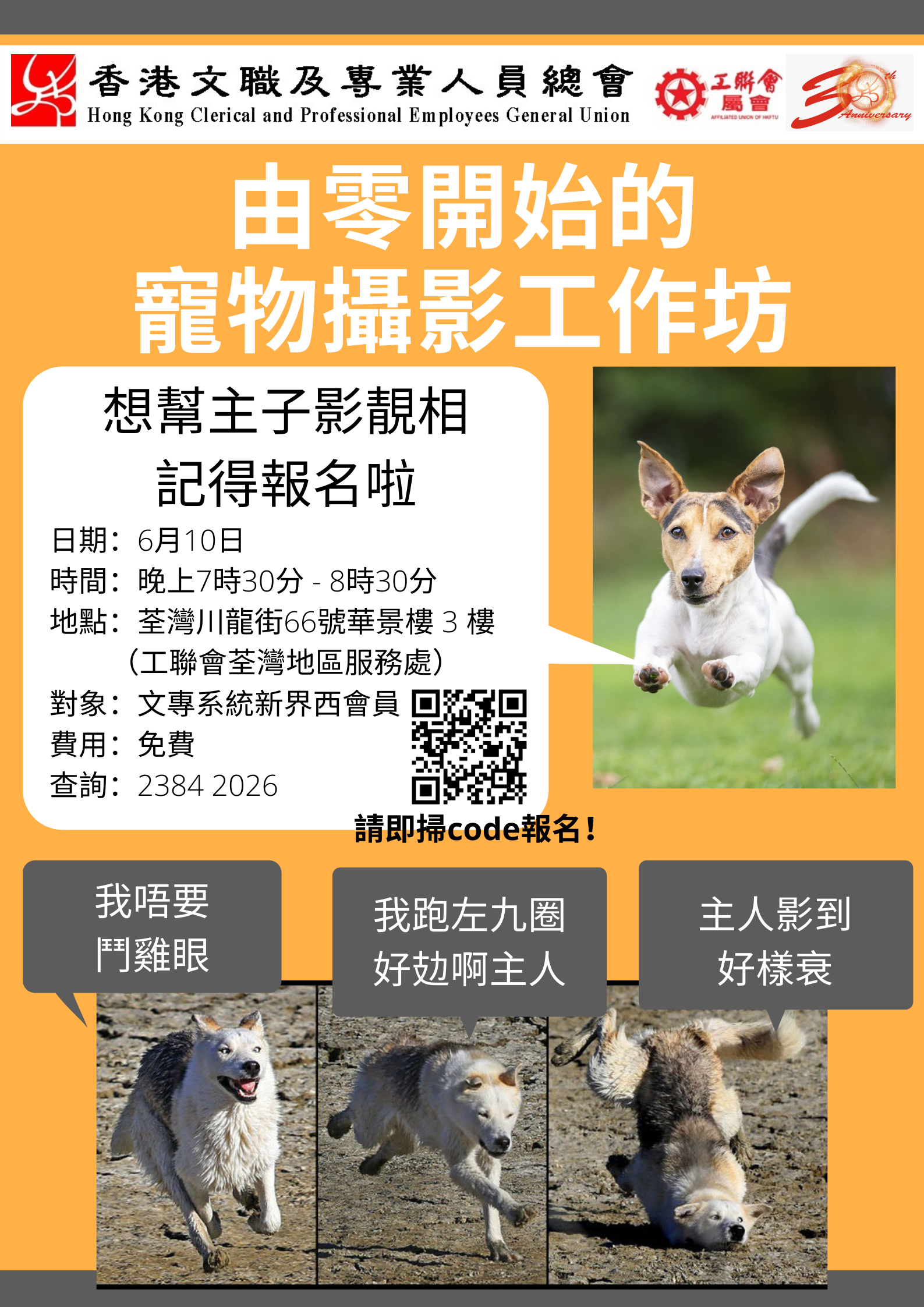 本页图片/档案 - Orange Photo Pet Adoption Poster